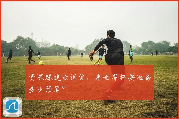 资深球迷告诉你：看世界杯要准备多少预算？