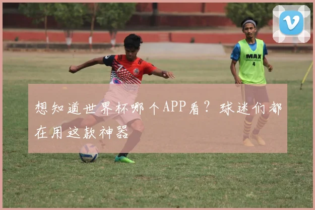 想知道世界杯哪个APP看？球迷们都在用这款神器